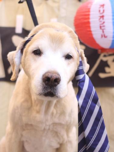 20240626ライムくん